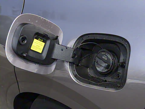 2026�� �����������̰� 310�콢��