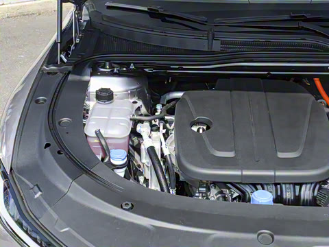 2026�� �����������̰� 310�콢��