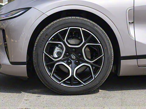 2026�� �����������̰� 310�콢��