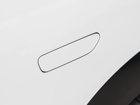 2025�� ������������Pro��