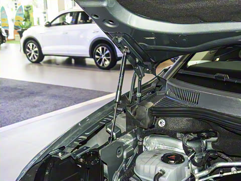 2026�� 450TSI �������� 7��