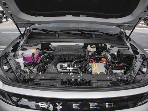 2025�� 100������Plus����