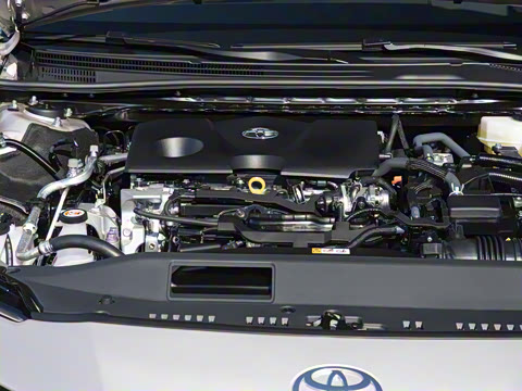 2026��  ˫�� 2.0HG ����