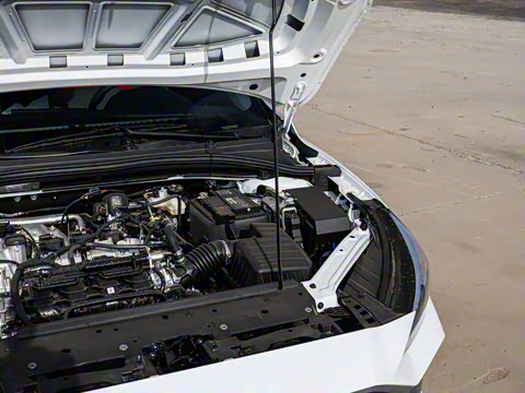 2023�� �Ŀ� 180DVVT �ֶ����а�