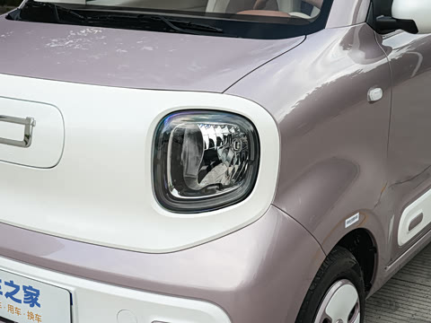 2026�� 222km ��ҫ��