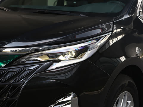 2026�� 2.5L �߶���