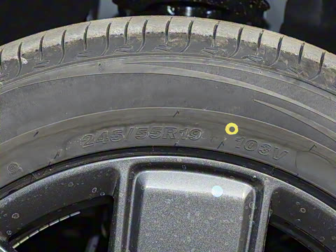 2025�� 520���������