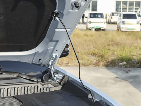 2025�� 520���������