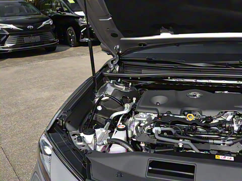 2026�� ˫�� 2.5HG ����