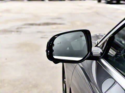 2026�� �����������̰� 310�콢��