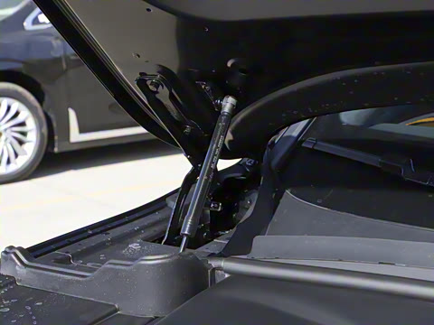 2025�� FREE+ �����˶����ư�