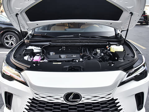 2026�� 350h ����������