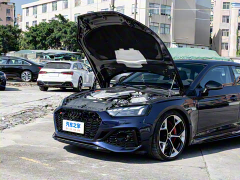 2024�� RS 5 2.9T Sportback ȼ���