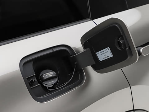 2026�� Max ������