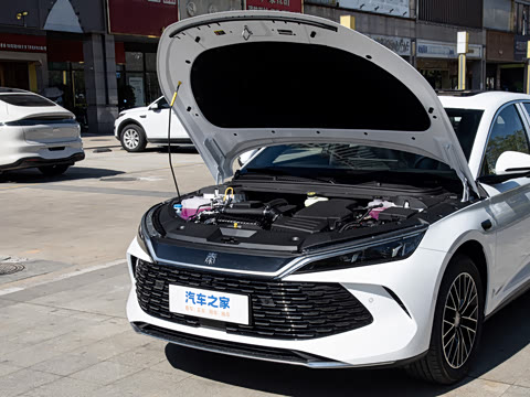 2026�� DM-i 210KM������