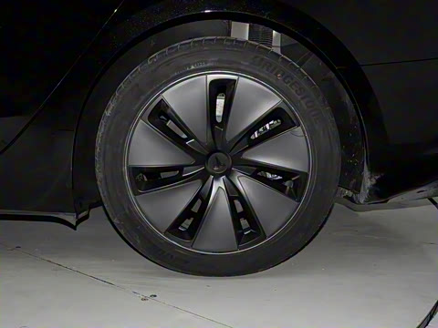 2025�� �Ŀ� ����������