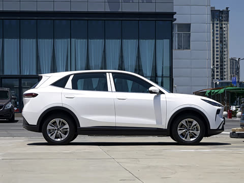 2026�� 565km ��ϲ��