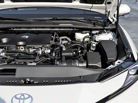 2026�� ˫�� 2.0HXS �˶�Plus��