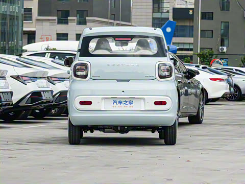 2026�� 222km ��ҫ��