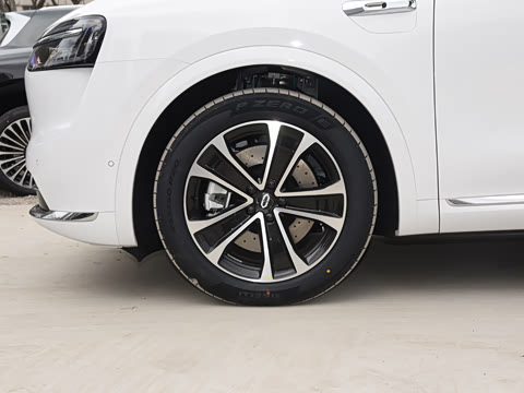 2026�� ���� Max�������� 5��