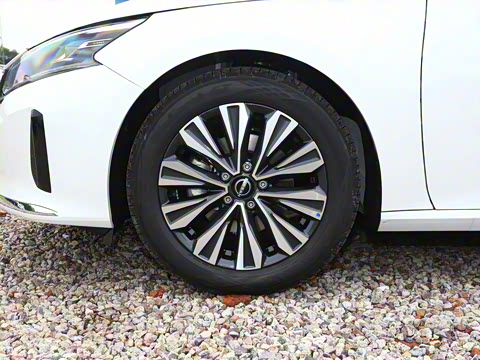 2025�� 2.0L XL-TLS ������