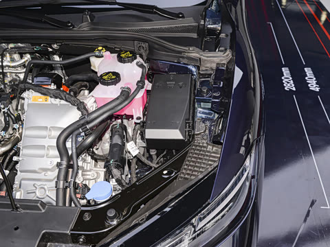2026�� 205km ������