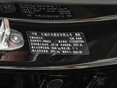 2025�� 2.4T ����������ʿ��