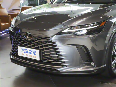 2025�� 300 ����������