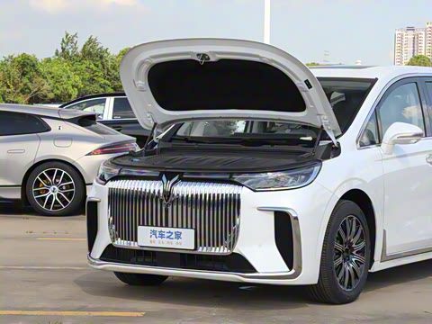 2025�� EV �������������