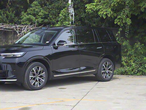 2025�� Ǭ�� Max 6��