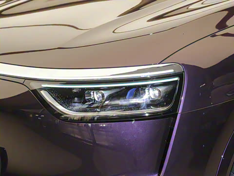 2025�� ���� Max+ ������������ 