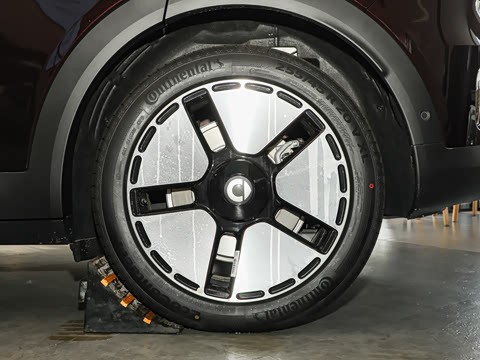 2025�� ������������������