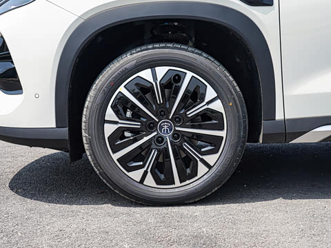 2026�� DM-i 310KM ��Խ��