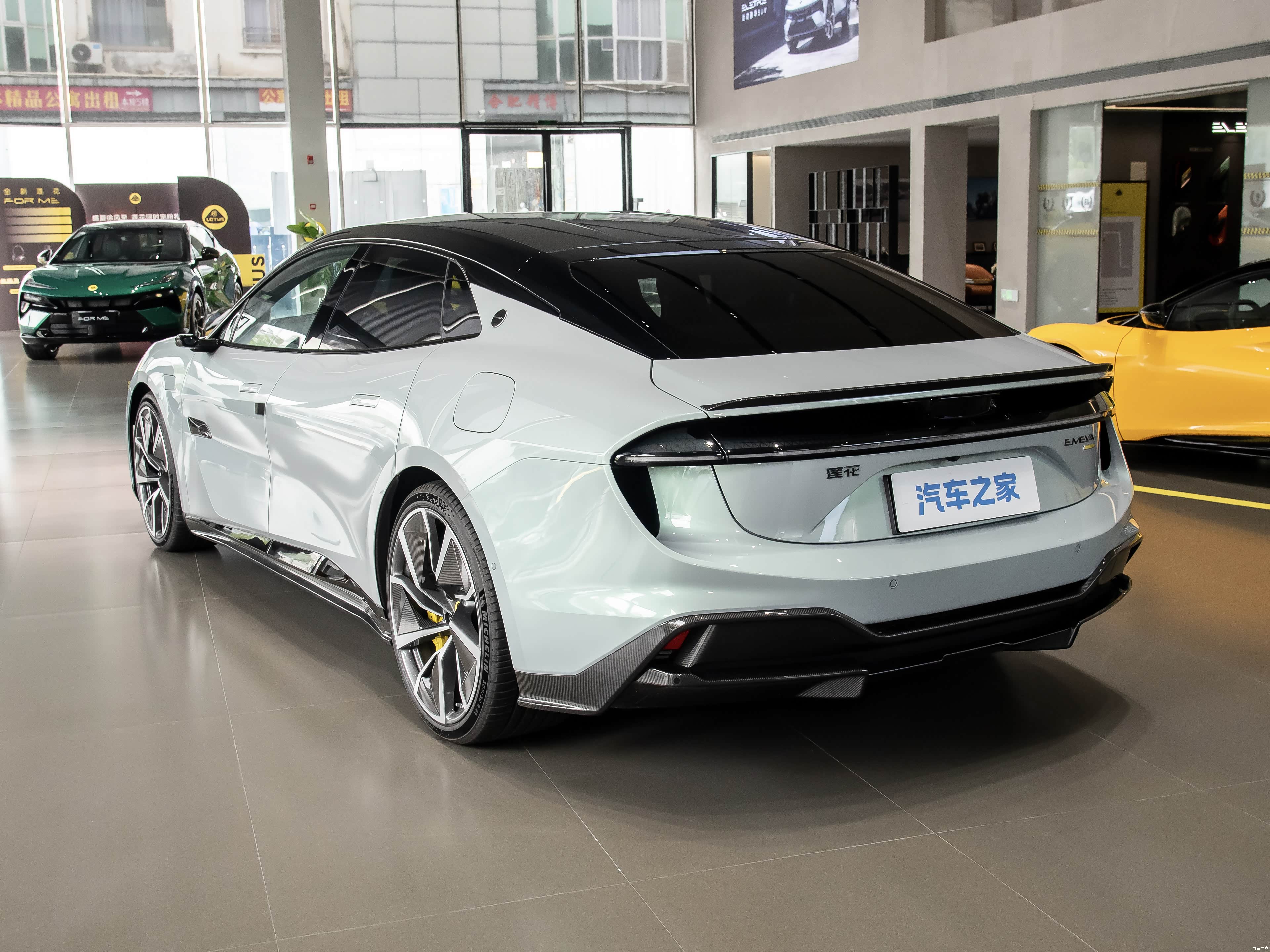 Lotus Emeya, миниатюра 5