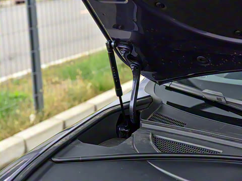 2026�� Master ���������