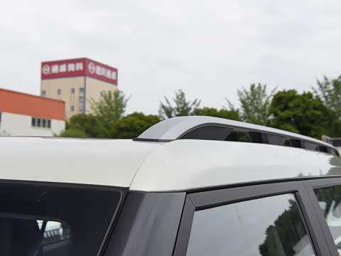 2026�� 2.0T XWD ��Խ