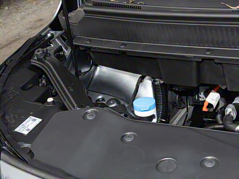 2025�� Plus 610 ������