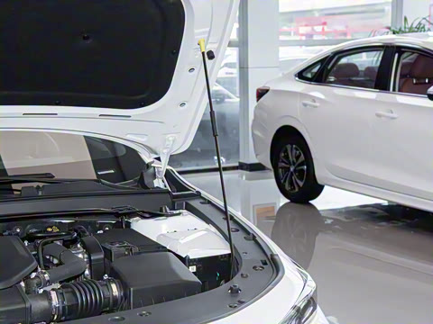 2025�� ������ 2.0T ������