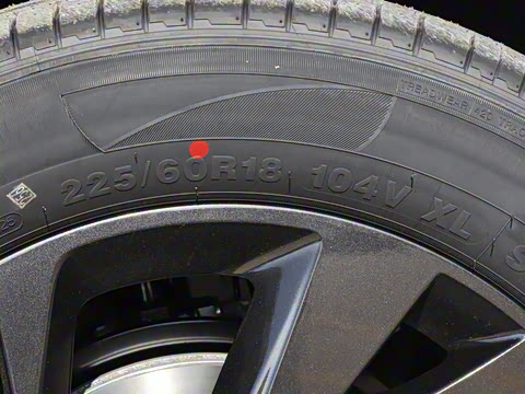 2025�� 518�����͹ھ���