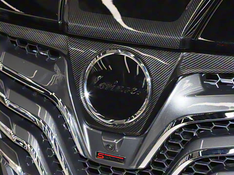 2025�� LS600MX ��������