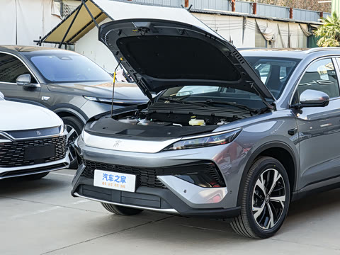 2026�� DM-i 220KM��Խ��