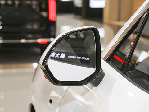 2025�� Pro ������