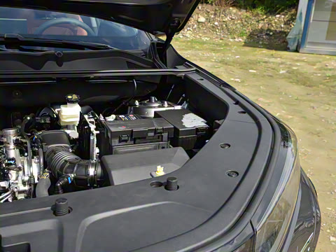 2026�� �ǻ۹ھ��� 1.5T ������ ������