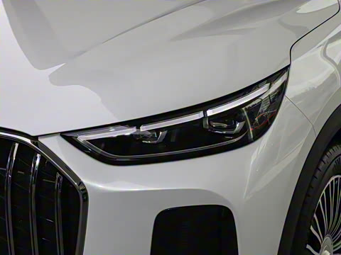 2026�� 9X 2.0T �Զ����������