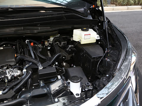 2026�� 2.5L �߶����м�