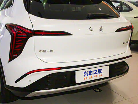 2025�� 520 ��ѡ��