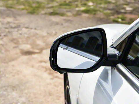 2026�� �����������̰� 310������