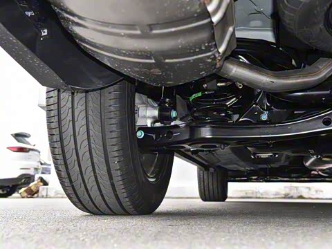 2025�� 290T ��������+