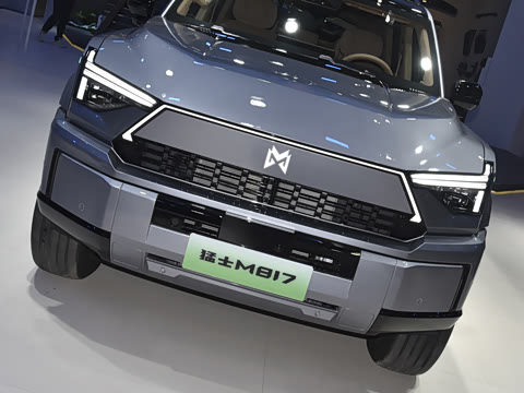 2025�� Max