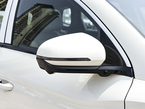 2026�� DM-i 220KM��Խ��